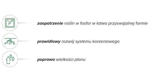 Fostar zapewnia roślinom fosfor, wspiera rozwój korzeni i poprawia wielkość plonu.