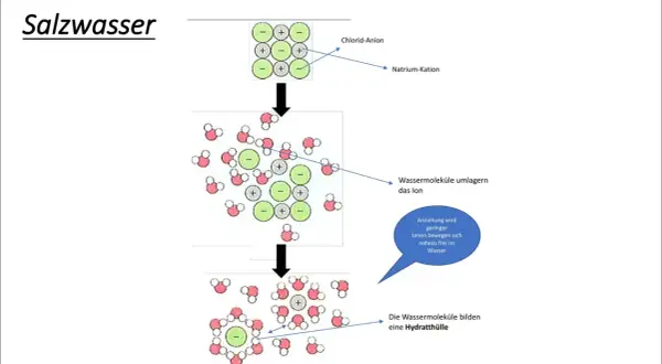 Salzwasser: Chlorid-Anionen und Natrium-Kationen werden von Wassermolekülen umlagert. Was sind Ionen? Sie bilden eine Hydrathülle.