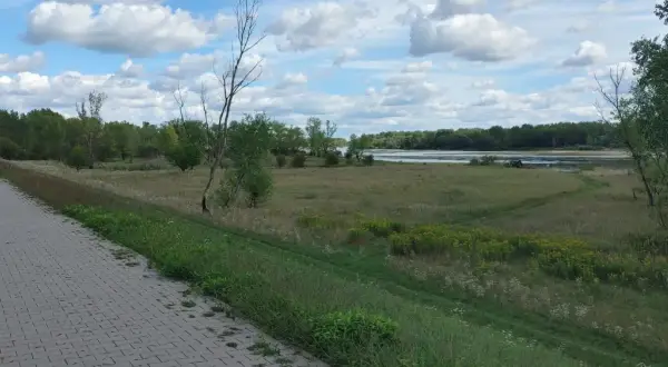 Asfaltowa ścieżka wzdłuż rzeki, idealna na spacer. Stężyca trasa oferuje piękne widoki na zieleń i wodę.