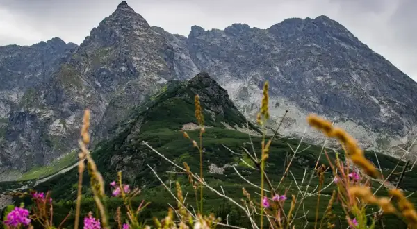 Gdzie najlepiej jechać w góry? Odkryj ukryte skarby Polski