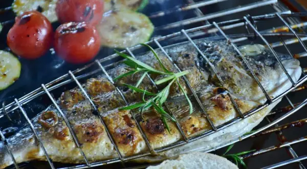 Gdzie zjeść w Augustowie? Odkryj najlepsze restauracje i dania