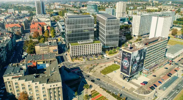 Hipologia i jeździectwo Katowice: Jak rozwijać pasję i karierę?