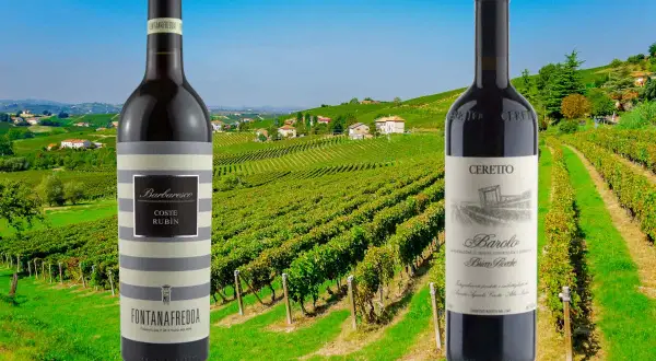 Due bottiglie di vini piemontesi famosi, Barbaresco e Barolo, in primo piano con un paesaggio di vigneti sullo sfondo.