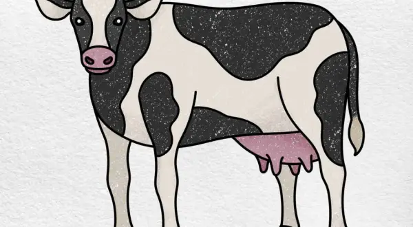 Una vaca para dibujar, con manchas negras y blancas, cuernos y ubres rosadas.