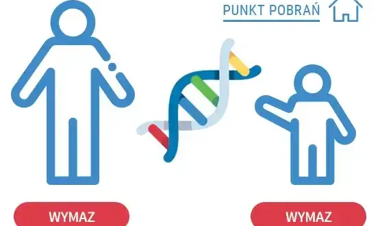 Kto płaci za badania DNA zlecone przez sąd? Poznaj zasady i wyjątki