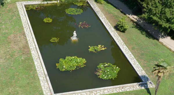 Bassin rectangulaire avec statue, nénuphars et végétation. Estimation du prix d'un bassin au m2 pour un tel aménagement paysager.