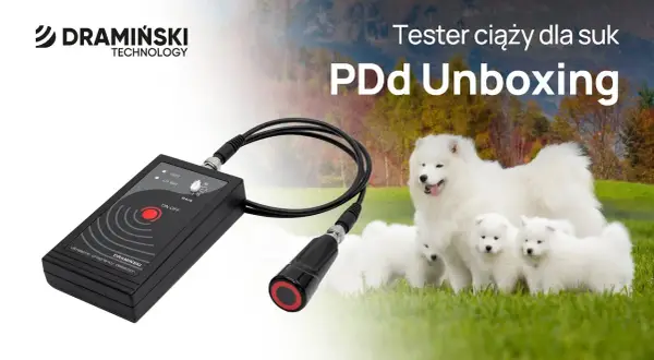 Test ciążowy dla psa: Kup online, zrób sam, poznaj prawdę o ciąży!