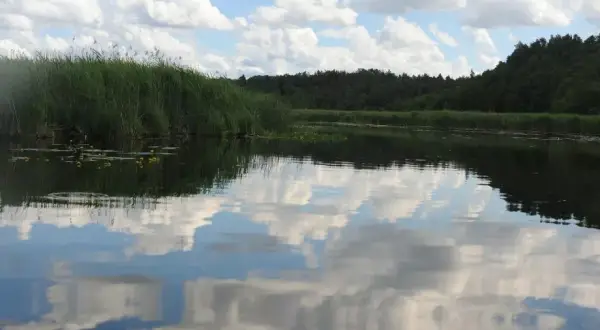 Jezioro Hańcza: Najgłębsze jezioro Polski odkryj jego sekrety