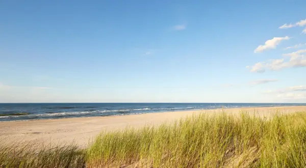 Spokojna, dzika plaża z piaskiem i trawą morską na pierwszym planie. W oddali widać spokojne morze i błękitne niebo z kilkoma chmurkami.