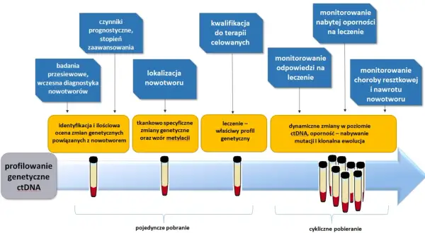 Schemat przedstawia etapy diagnostyki i monitorowania nowotworów, w tym klasyfikację TNM, profilowanie ctDNA i analizę zmian genetycznych.