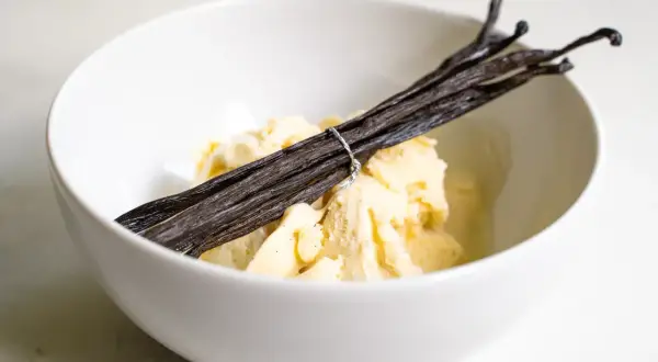 Schüssel mit cremigem, schnellem Vanilleeis, garniert mit dunklen Vanilleschoten. Perfekt für die Eismaschine!