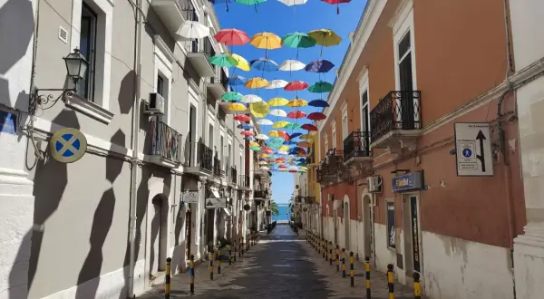 Un vicolo colorato da ombrelli sospesi, un'installazione artistica che rende unica Manfredonia. Ecco cosa vedere a Manfredonia per un'esperienza indimenticabile.