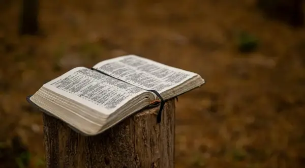 Otwarta Biblia na pniu drewna, szukamy w niej biblijne imię Boga.