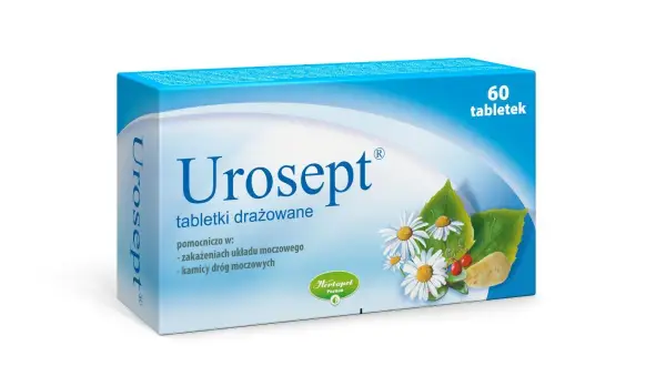 Leki na bakterie w moczu – co skutecznie zwalcza infekcje układu moczowego?