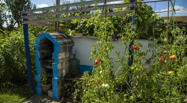 Jak wydzierżawić działkę od miasta bez problemów – krok po kroku i koszty