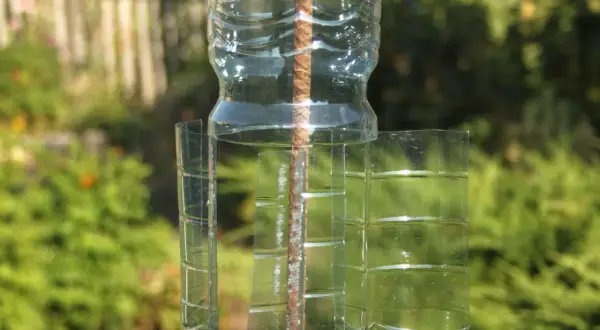 7 kreatywnych pomysłów na wykorzystanie butelek plastikowych w ogrodzie