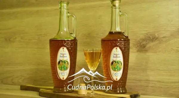 Nalewka z pędów sosny - kiedy zbierać, aby uzyskać najlepszy smak
