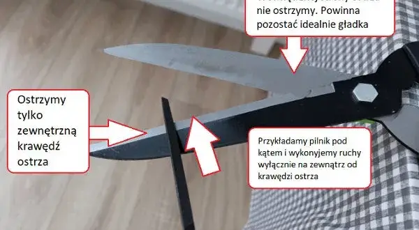 Jak naostrzyć nożyce ogrodowe, aby uzyskać idealne cięcie i długowieczność