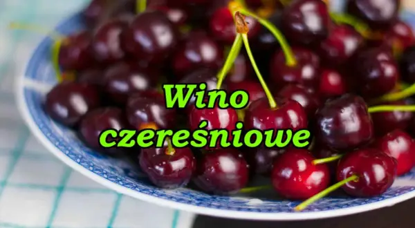 Jak zrobić wino z czereśni: proste błędy, których unikniesz