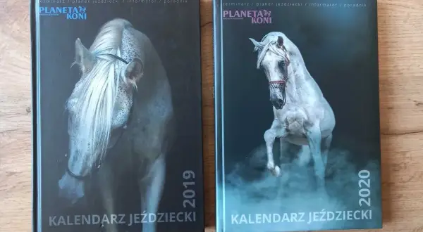 Najlepsze planery jeździeckie, które pomogą zorganizować treningi i życie stajenne