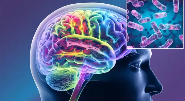 Psychobiotyki a inne terapie holistyczne w zdrowiu psychicznym