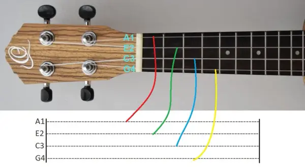 Jakie są struny w ukulele? Dowiedz się, które wybrać dla najlepszego brzmienia