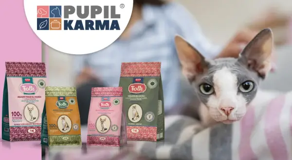 Najlepsza Sucha Karma dla Kota w 2026: Karmy z Najlepszym Składem