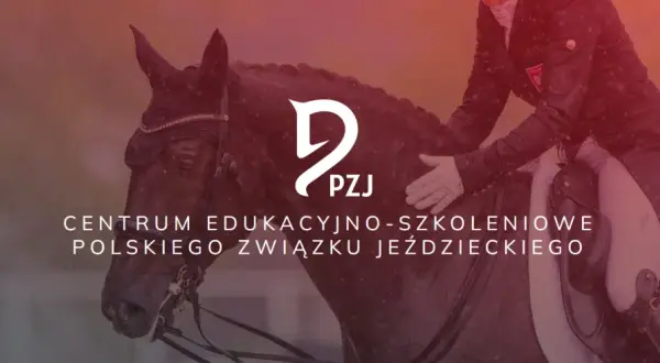 Akademia Jeździecka Prima – wyjątkowe programy jazdy konnej dla każdego