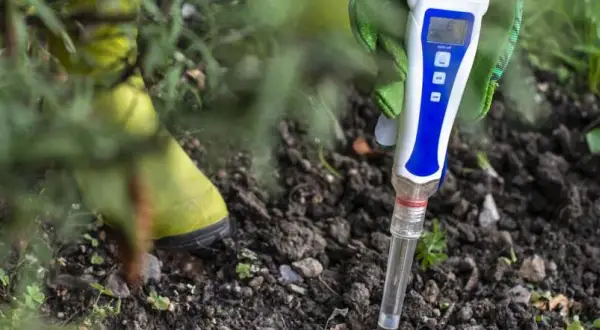 Jak sprawdzić pH ziemi ogrodowej: proste metody i ich znaczenie dla roślin