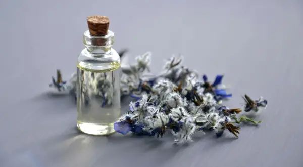 Dlaczego perfumy marki V Canto są jak zapachowe dzieła sztuki?