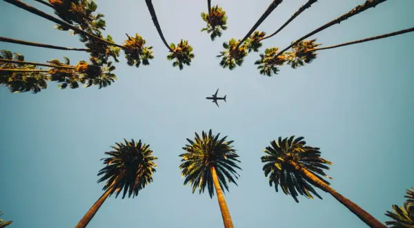 Ile trwa lot z Warszawy do Miami? Sprawdź czas lotu i szczegóły