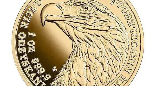 Gdzie kupić monety Orzeł Bielik NBP? Kompletny poradnik zakupu