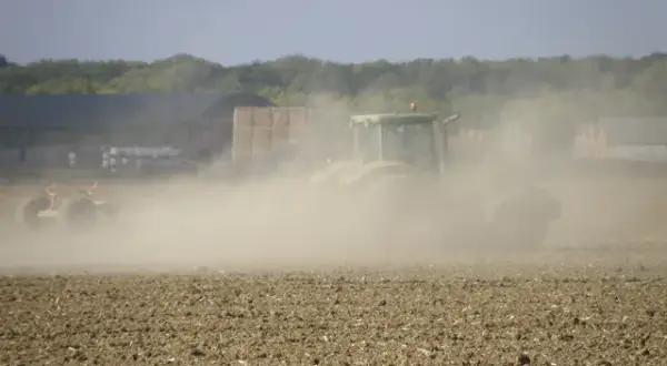 Jak się pisze kurz? Odkryj najczęstsze błędy w pisowni