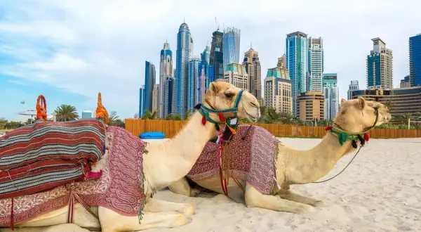 Gdzie leżą Zjednoczone Emiraty Arabskie? Odkryj ich lokalizację