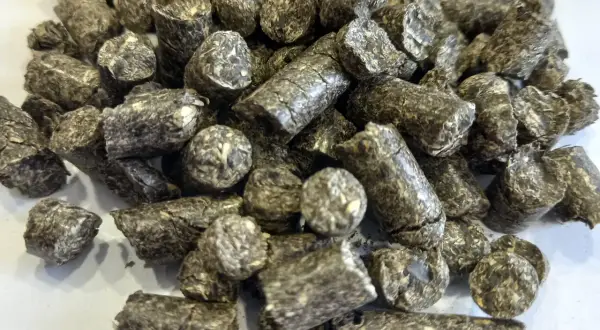 Sprzedaż pelletu: jaki kod PKD wybrać? Ważne informacje