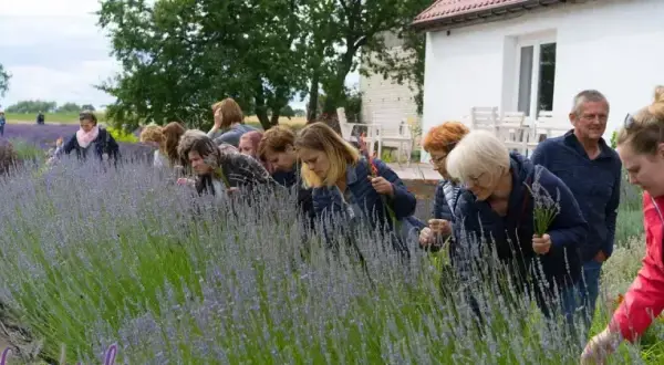 Zagroda edukacyjna jak założyć - uniknij najczęstszych błędów
