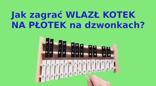 Jak zagrać wlazł kotek na płotek na cymbałkach - proste kroki dla każdego