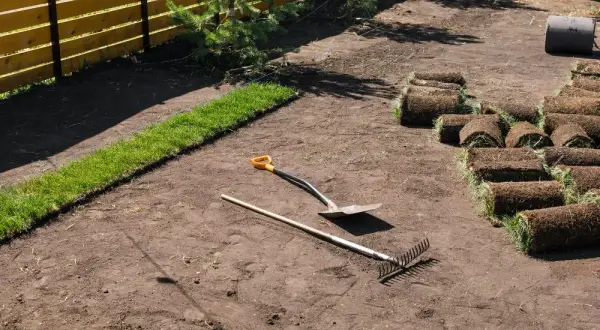 Czym wyrównać teren wokół domu, aby uniknąć problemów z wodą?
