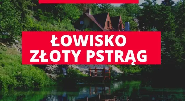 Łowisko Złoty Pstrąg – idealne miejsce na wędkowanie z rodziną