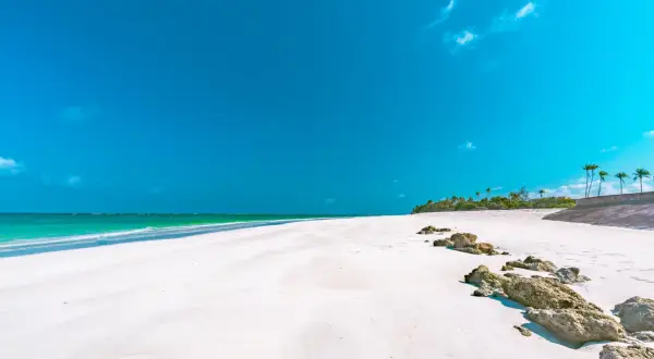Kenia kiedy jechać: najlepszy czas na safari i plażowanie