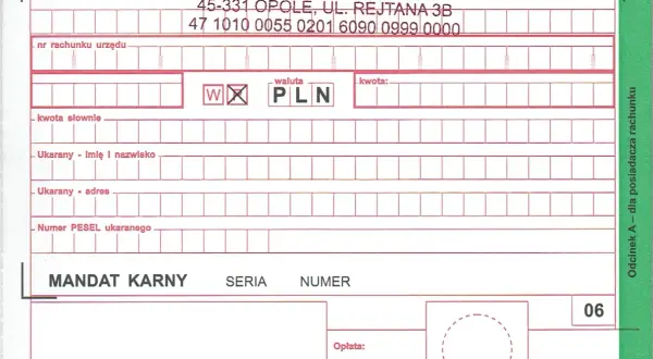 Jaki symbol formularza wpisać przy przelewie za mandat - poradnik płatności