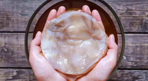 Jak przechowywać grzybek kombucha, aby nie stracił zdrowia i smaku