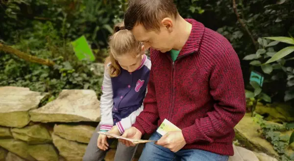 Gdzie pojechać z dzieckiem jesienią? Odkryj najlepsze miejsca w Polsce