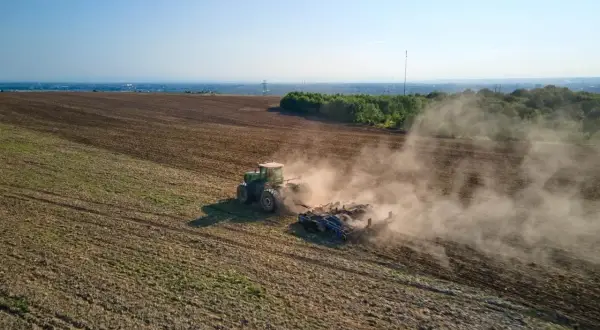 Ile siać żyta na hektar? Kluczowe wskazówki dla rolników