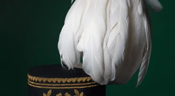Jak wygląda czapka górnicza? Poznaj tajemnice górniczego nakrycia
