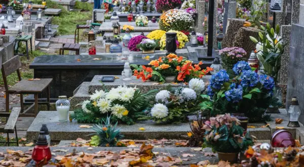 Jak wybrać wieńce i kwiaty na pogrzeb? Symbolika kolorów i rodzajów kwiatów
