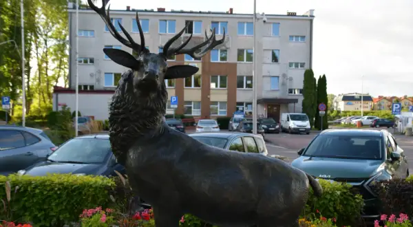 Rzeźba jelenia w Mielnie – odkryj jej wyjątkowe znaczenie i historię