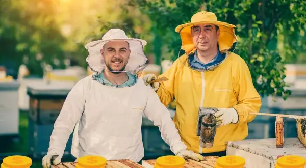 Ile można zarobić na pasiece? Kluczowe informacje, które musisz znać