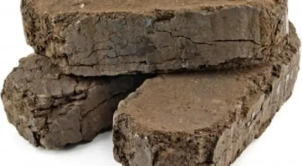 Gdzie kupić brykiet torfowy? Najlepsze miejsca i porównanie cen