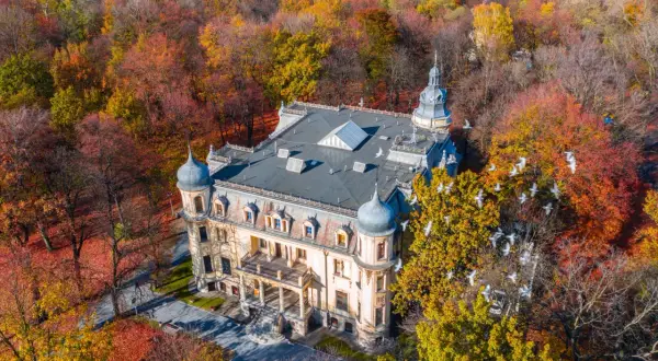 Industriada 2025 w Sosnowcu – święto dziedzictwa przemysłowego i odkrywania skarbów natury